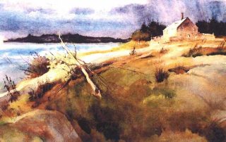 Mosquito Island (31x40) - $1,500